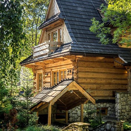 Dom Crocus Villa Zakopane Exteriör bild